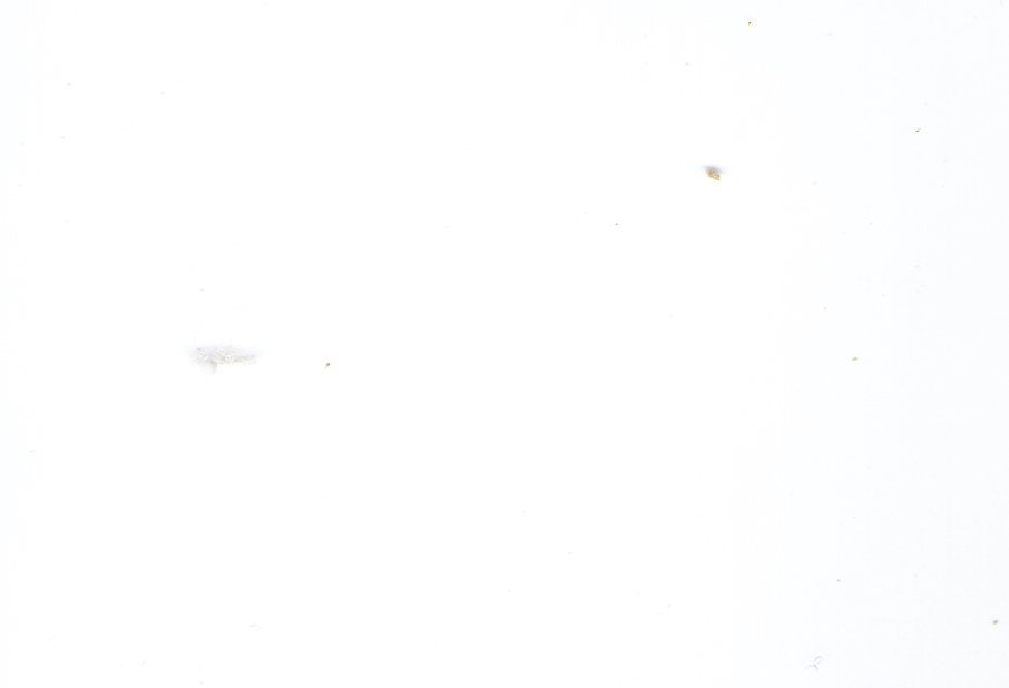 LUCREZIA - Completo Donna